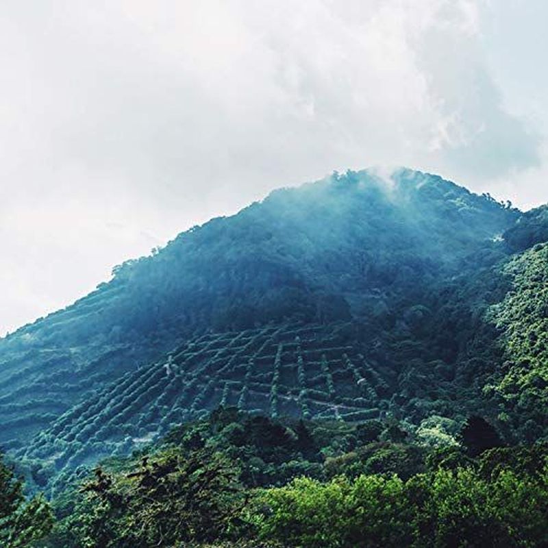 Ron Colon High Proof Aged – Detailansicht 5