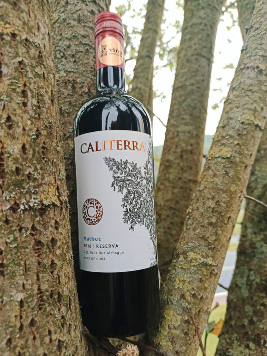 Caliterra Malbec 2016 Chile