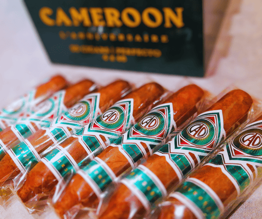 CAO Cameroon Perfecto