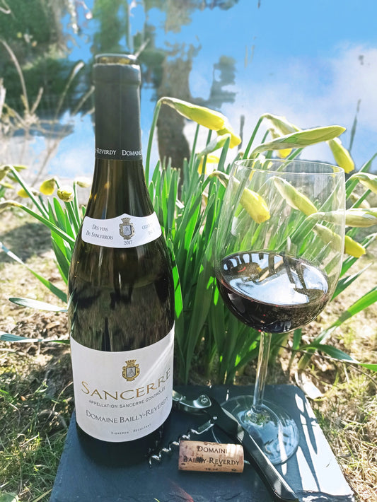 Ein leckerer Franzose „Domaine Bailly-Reverdy Sancerre Rouge“