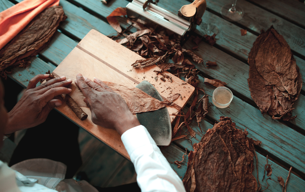 Dominikanische Zigarren