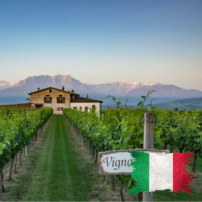 Italienische Weine