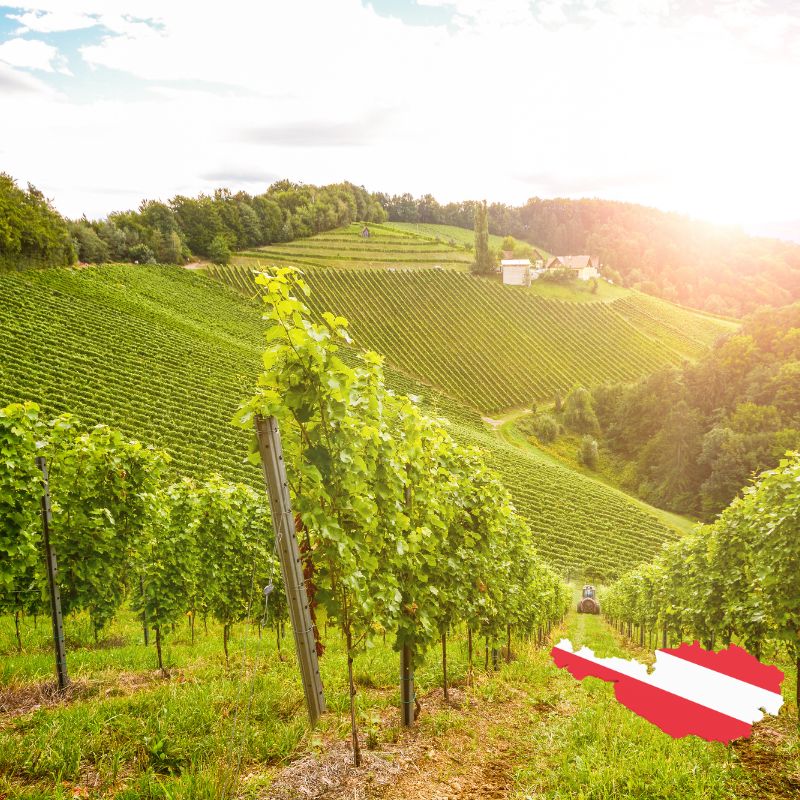 Österreichische Weine