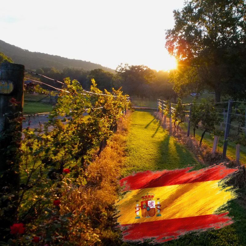 Spanische Weine