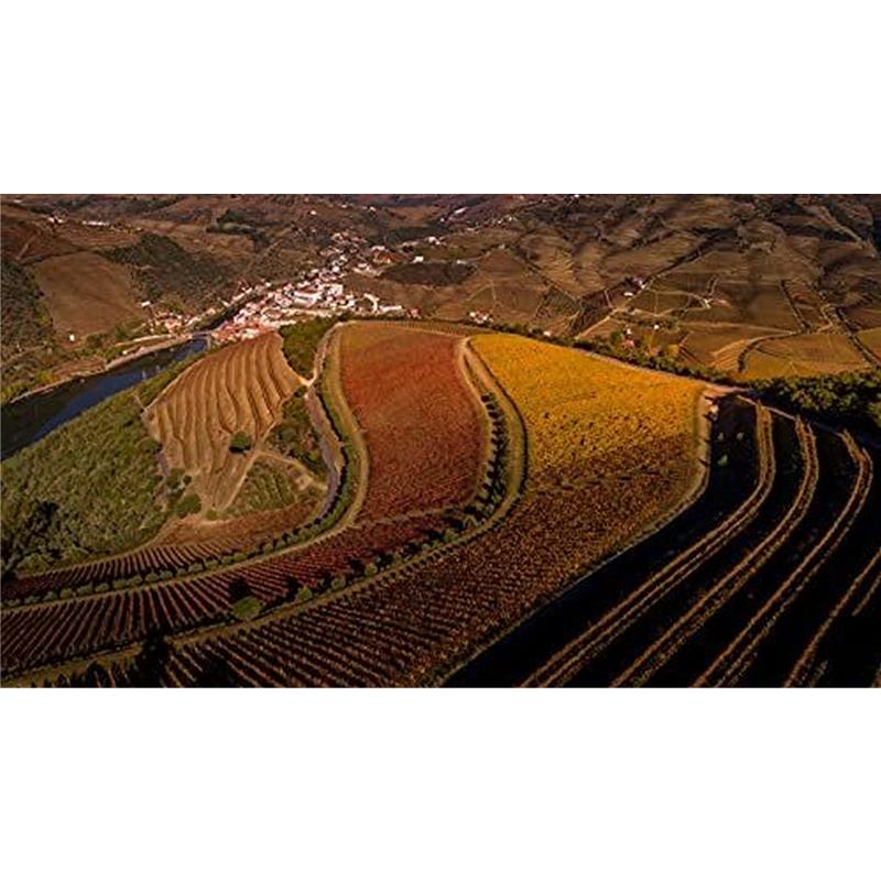 Royal Oporto Tawny Porto – Detailansicht 3