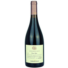 Errazuriz Aconcagua Costa Pinot Noir