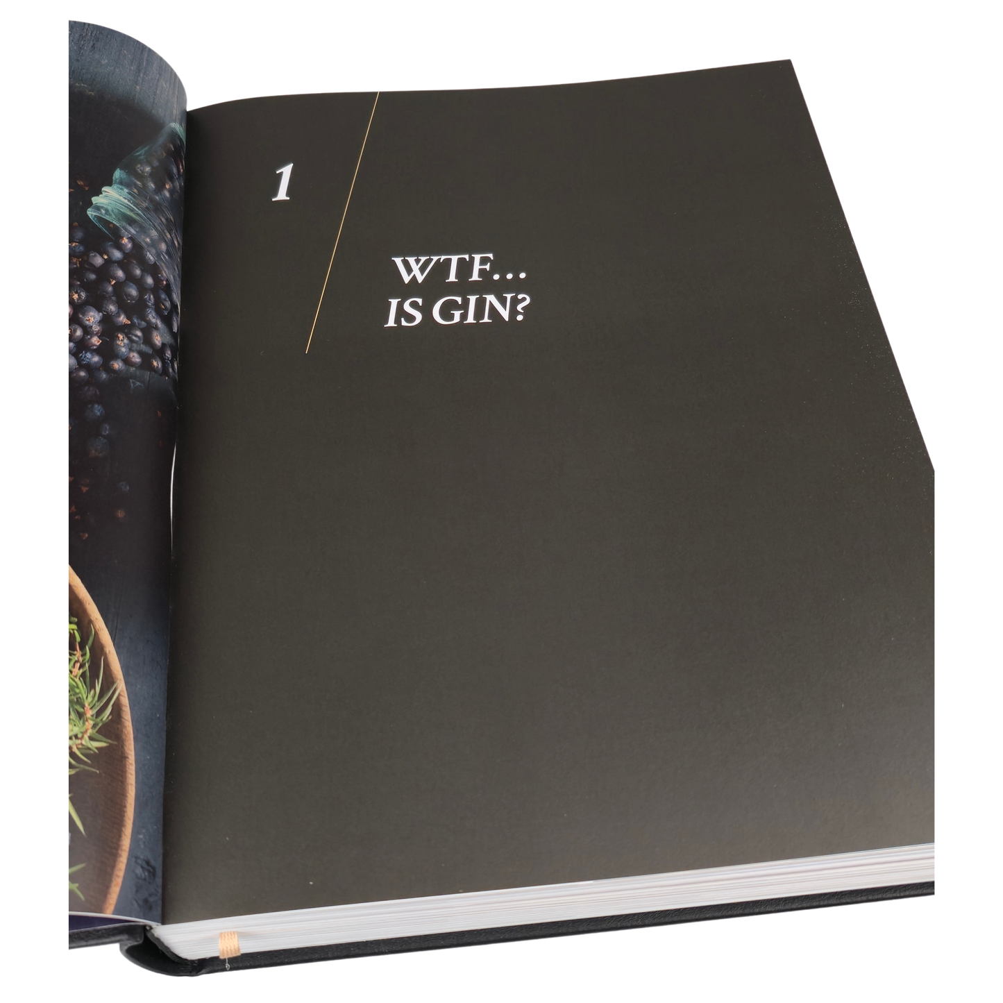 Gin Inside - Collectors`s Edition