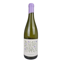 Weingut Brecht Gemeinsam Sauvignon Blanc 2023 – Vorderansicht