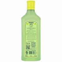 Bombay Citron Pressé Feingeist Onlineshop 0.70 Liter 2