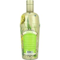 Coppa Mojito Feingeist Onlineshop 0.70 Liter 2