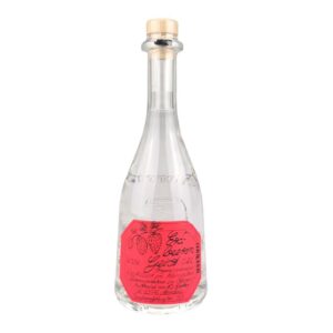 Dirker´s Erdbeeren-Geist Feingeist Onlineshop 0.20 Liter 1