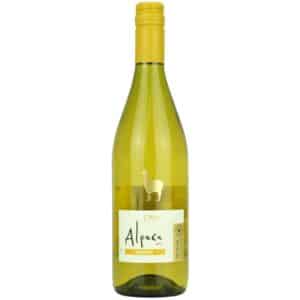 Feingeist Alpaca Chardonnay Front