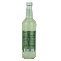 Fever Tree Ginger Beer Feingeist Onlineshop 0.50 Liter 2