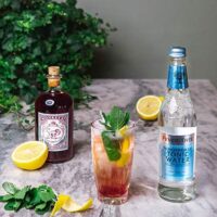 Fever-Tree Mediterranean Feingeist Onlineshop 0.50 Liter 2