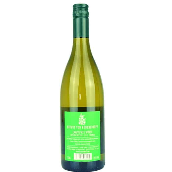 Hünersdorff Campestres Riesling trocken Feingeist Onlineshop 0.75 Liter 2