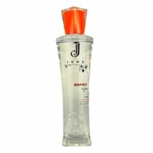 June Esprit Feingeist Onlineshop 0.70 Liter 1