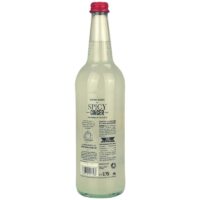 Thomas Henry Spicy Ginger Feingeist Onlineshop 0.75 Liter 2